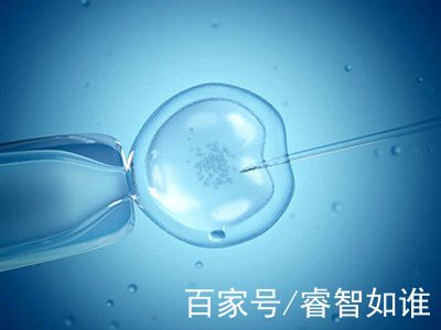 副院长